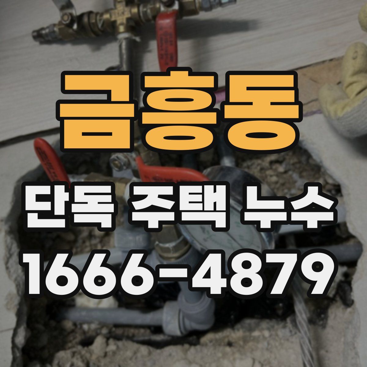 금흥동 단독 주택 누수