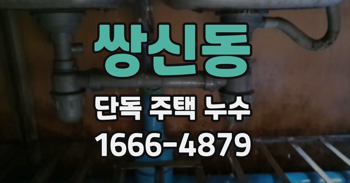 쌍신동 단독 주택 누수