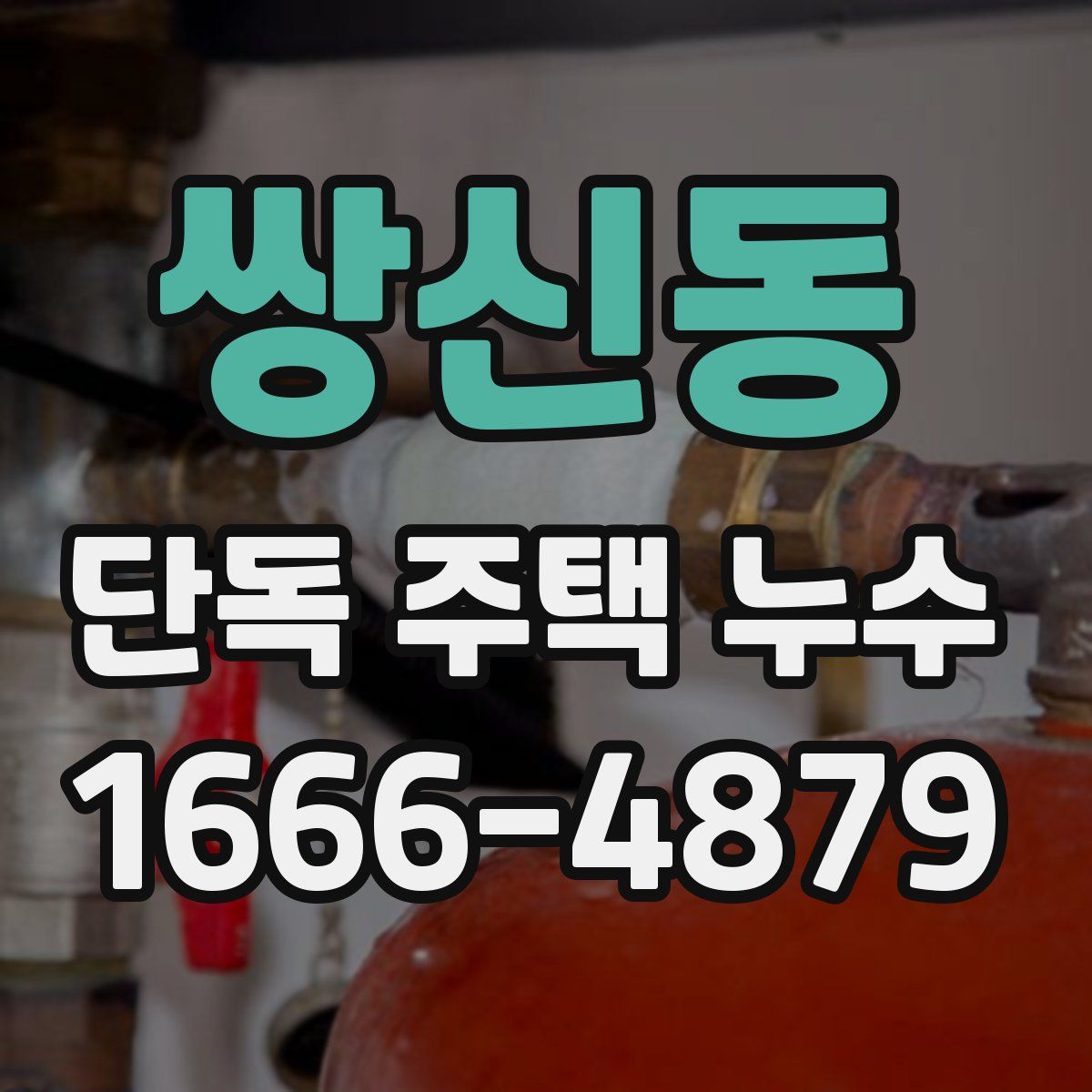 쌍신동 단독 주택 누수