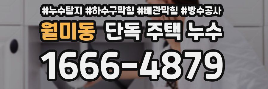 월미동 단독 주택 누수