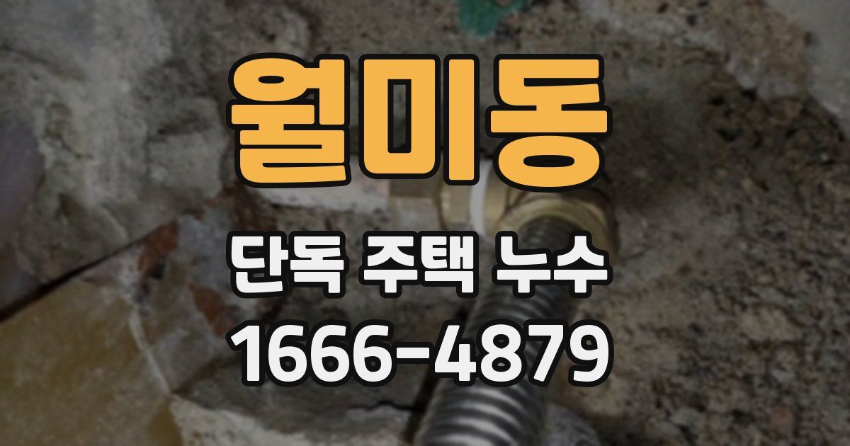 월미동 단독 주택 누수