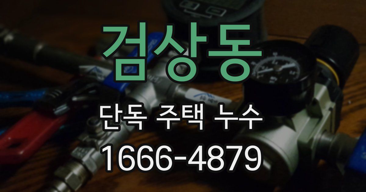 검상동 단독 주택 누수