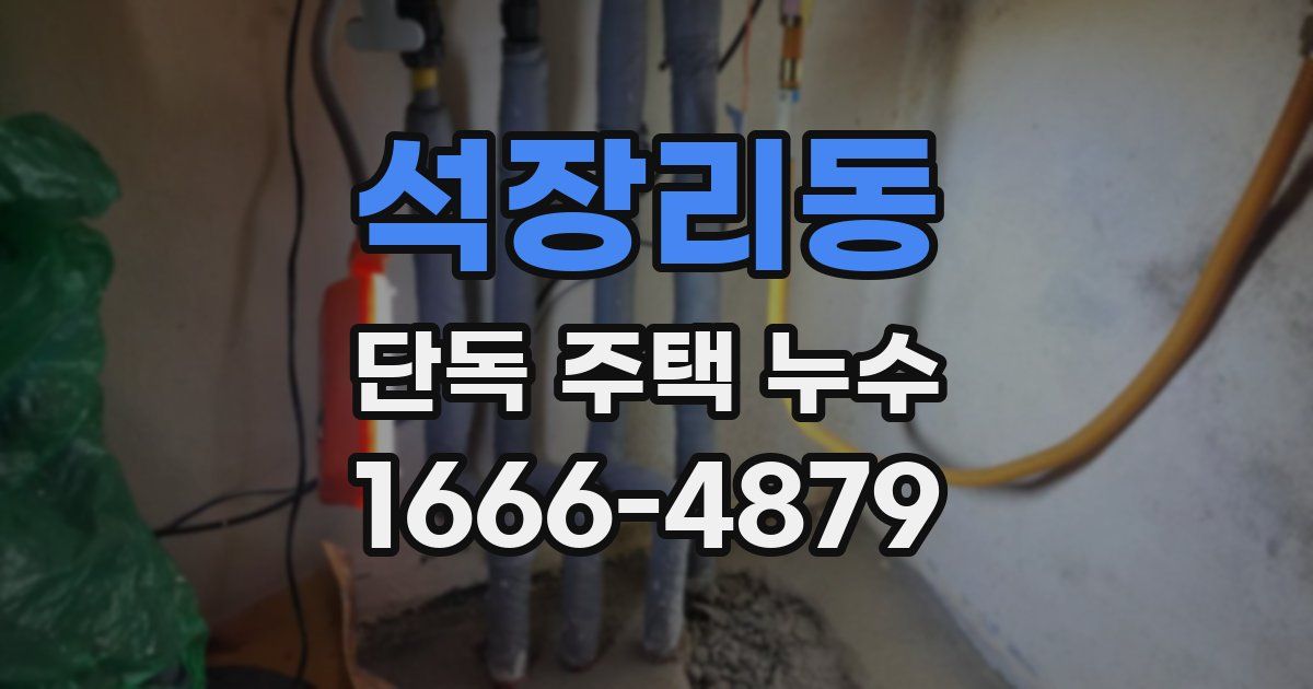 석장리동 단독 주택 누수