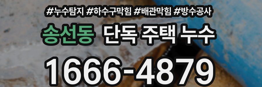송선동 단독 주택 누수