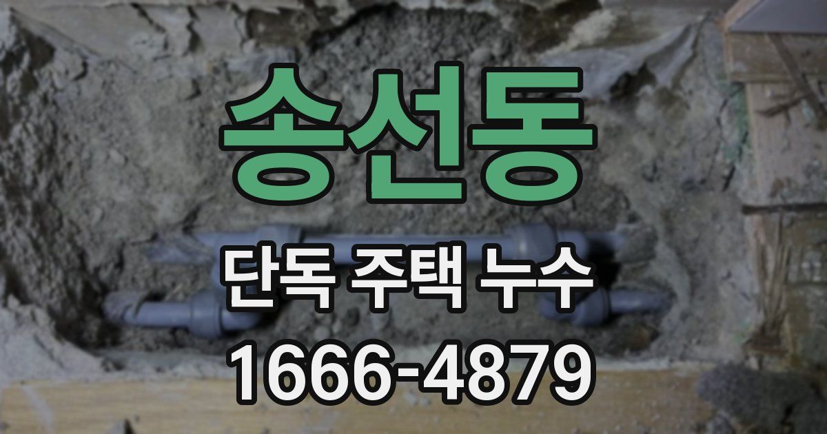 송선동 단독 주택 누수
