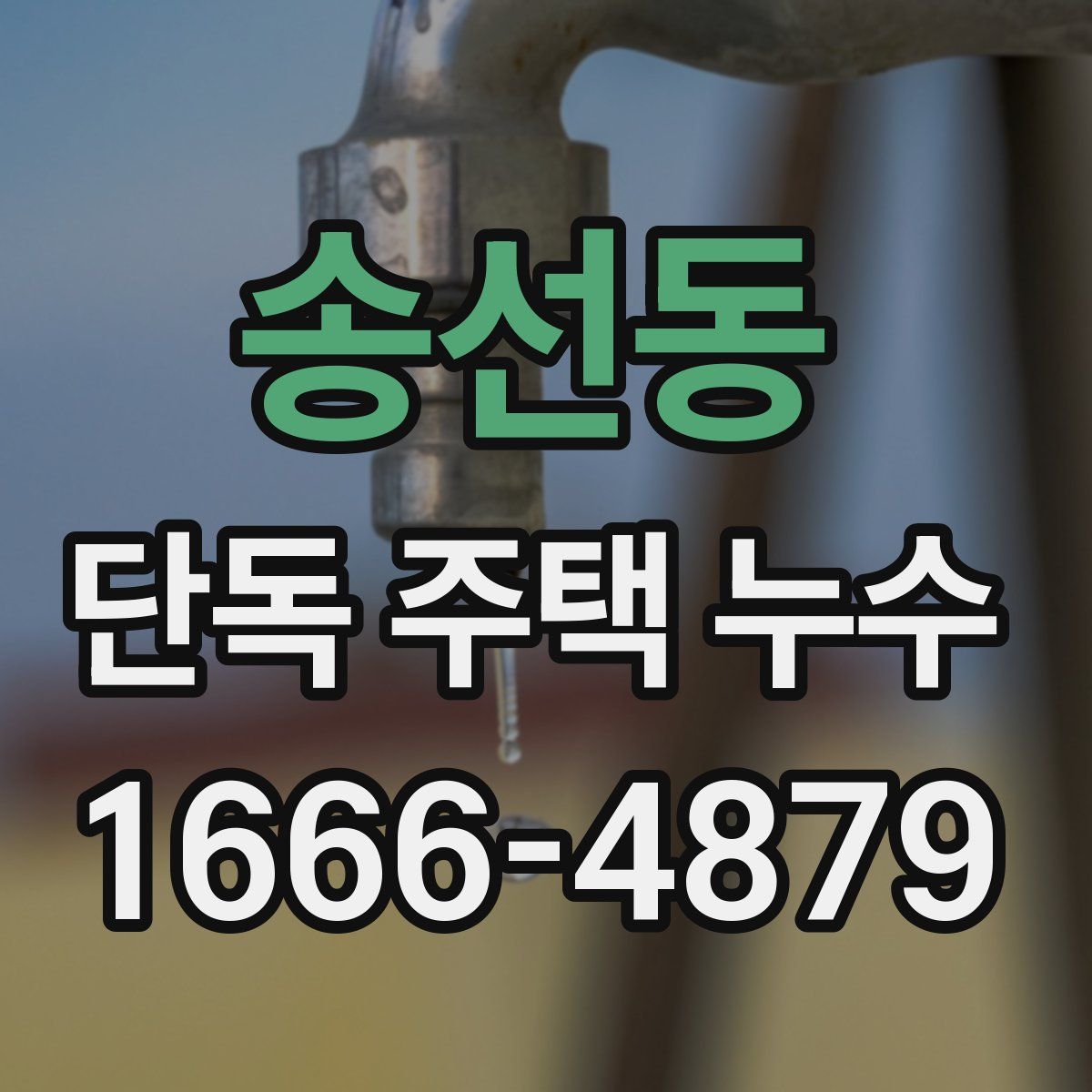 송선동 단독 주택 누수