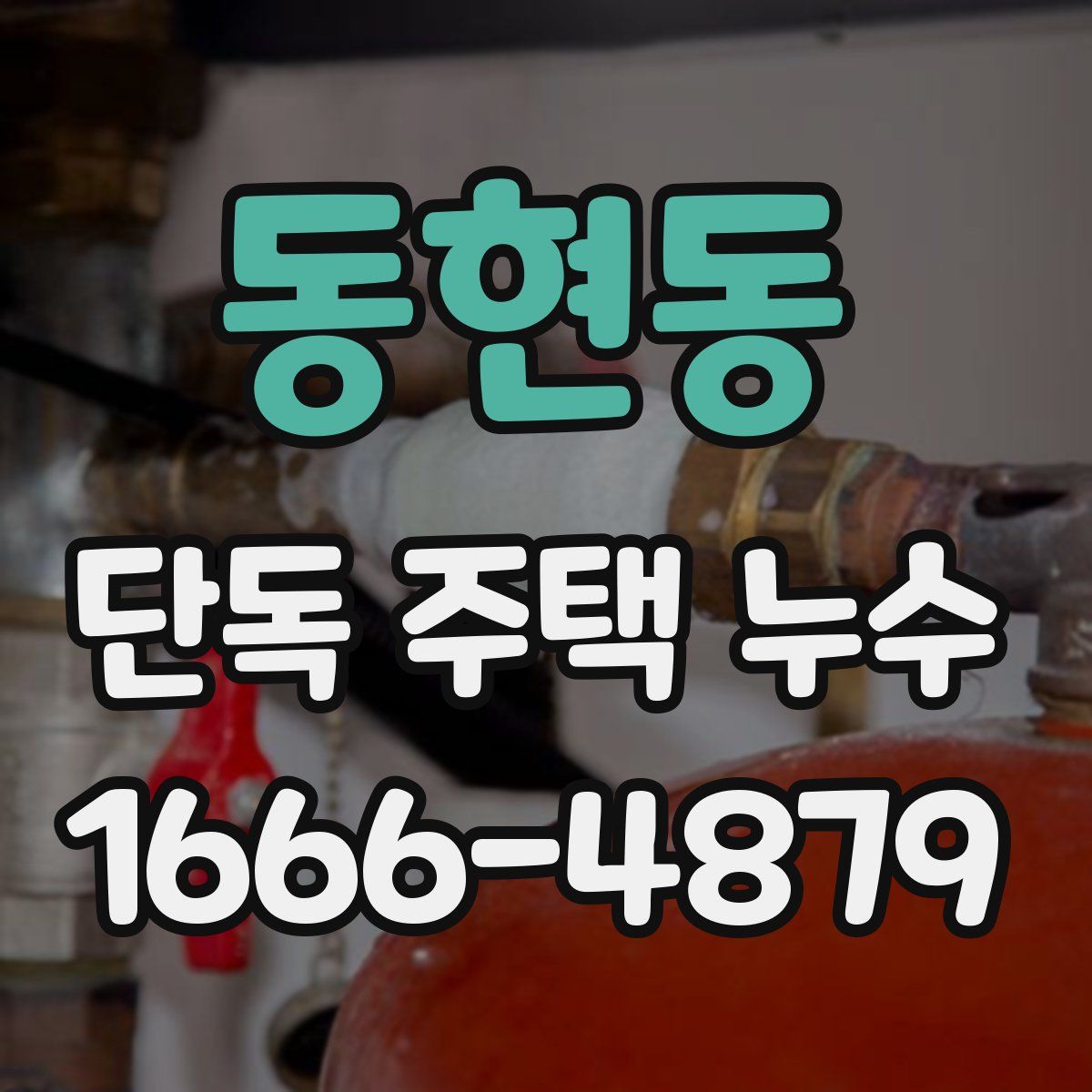 동현동 단독 주택 누수