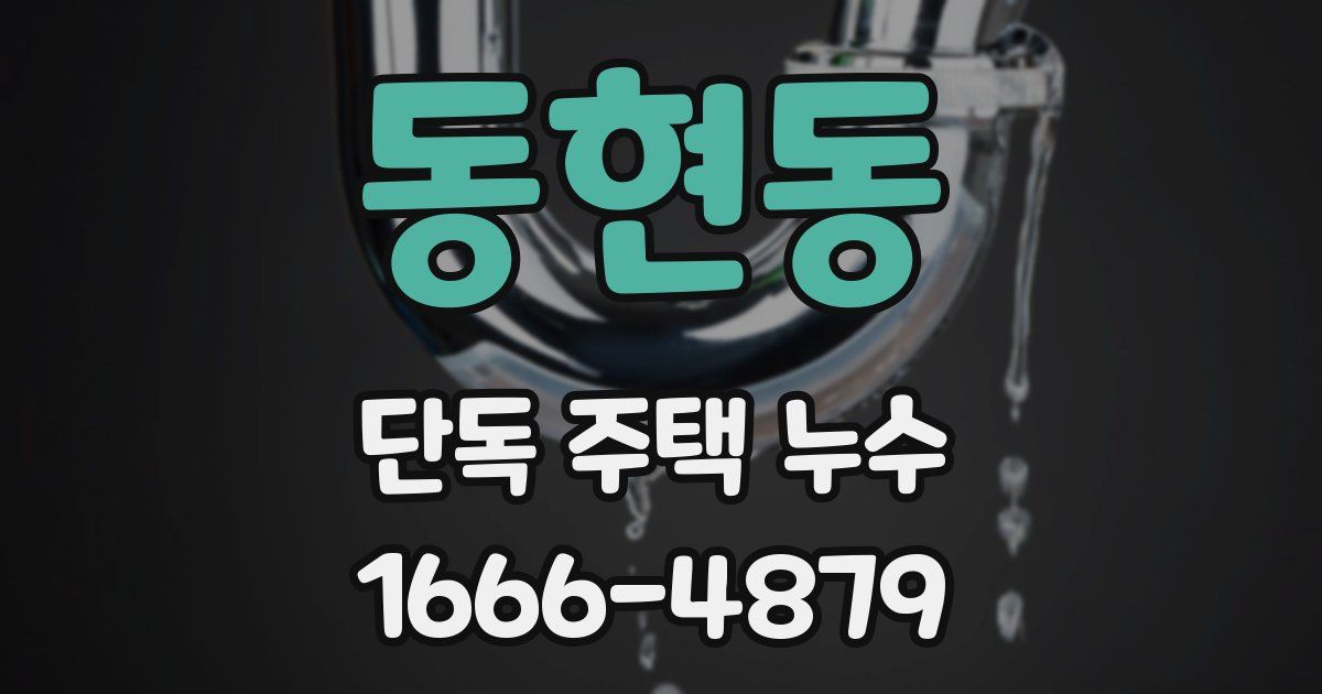 동현동 단독 주택 누수