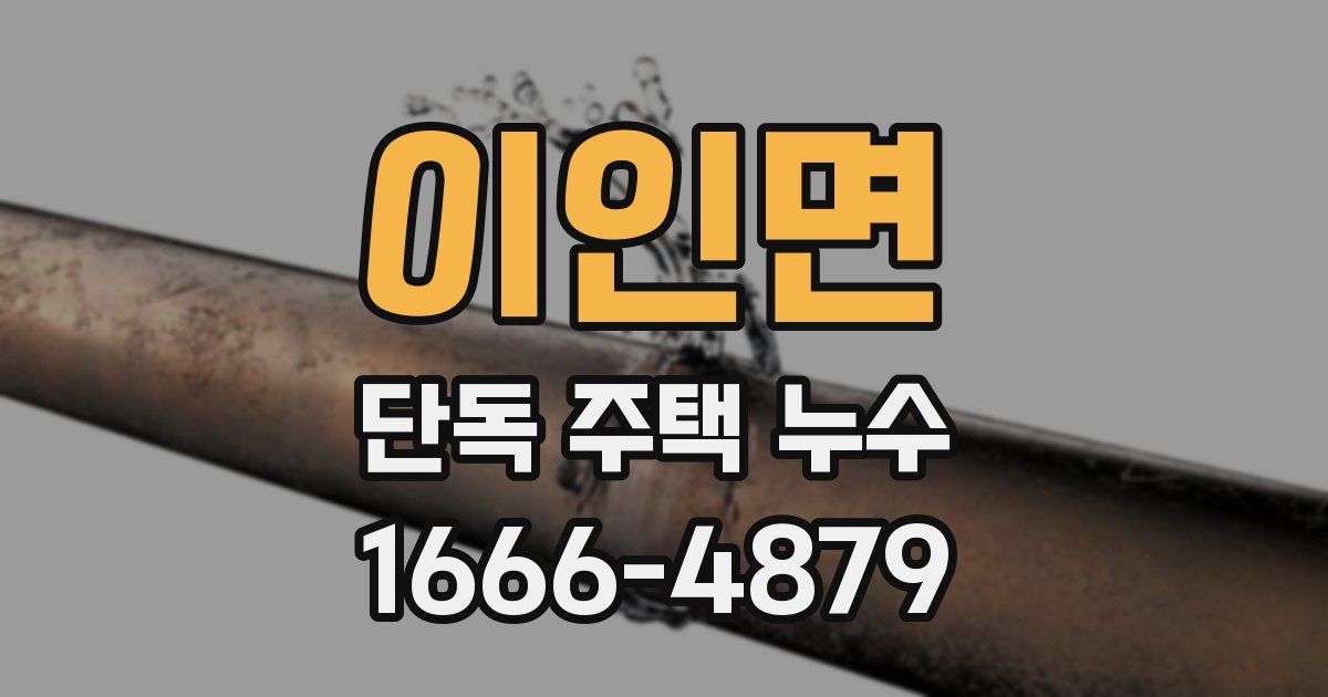 이인면 단독 주택 누수