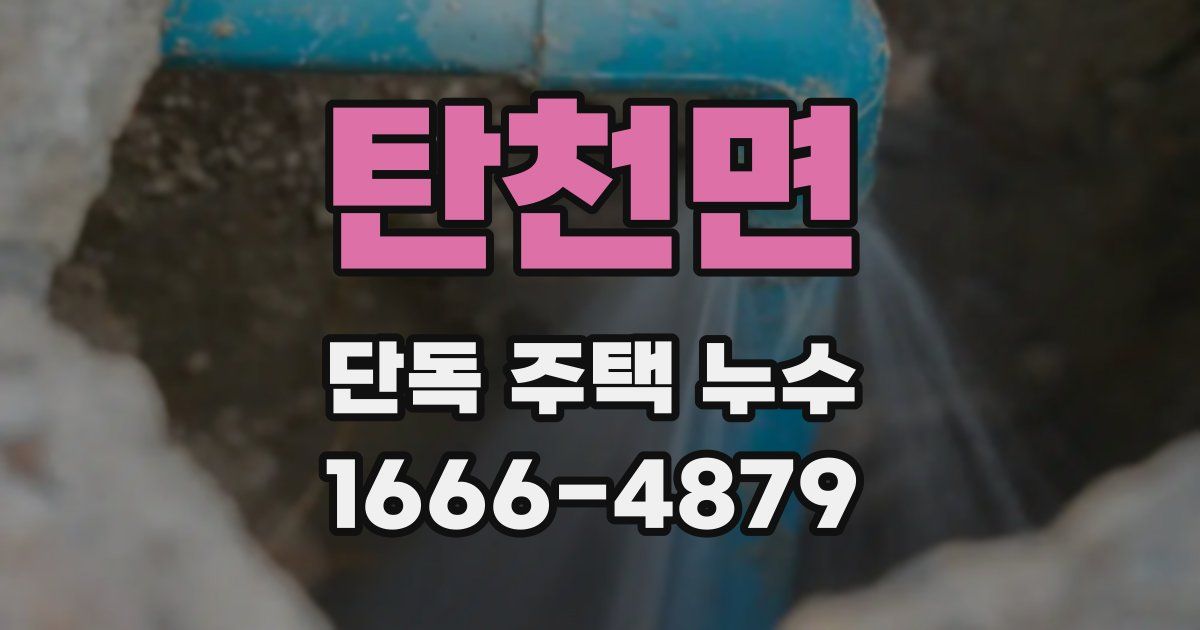 탄천면 단독 주택 누수