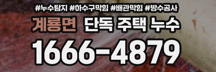 계룡면 단독 주택 누수