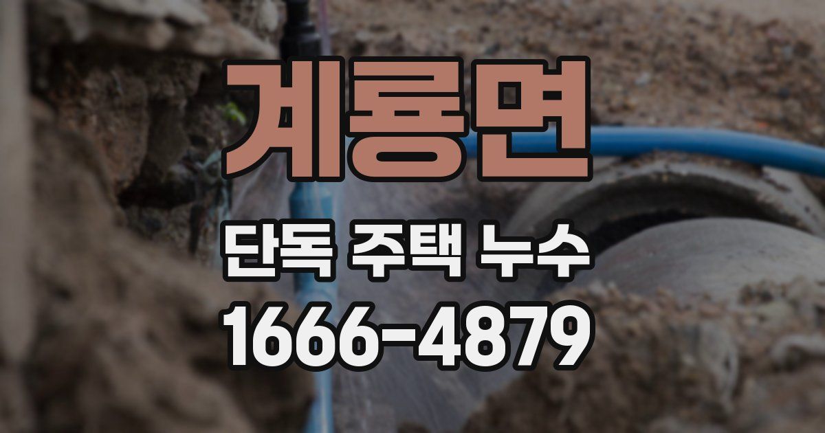 계룡면 단독 주택 누수