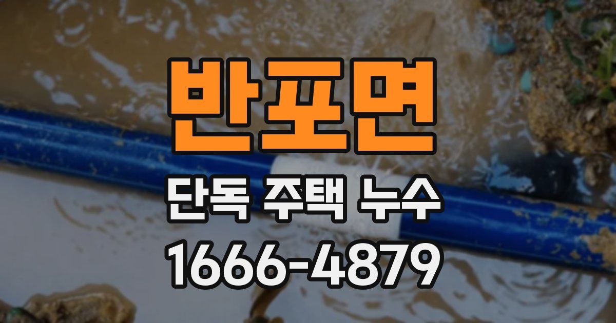반포면 단독 주택 누수