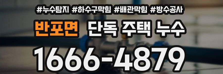 반포면 단독 주택 누수