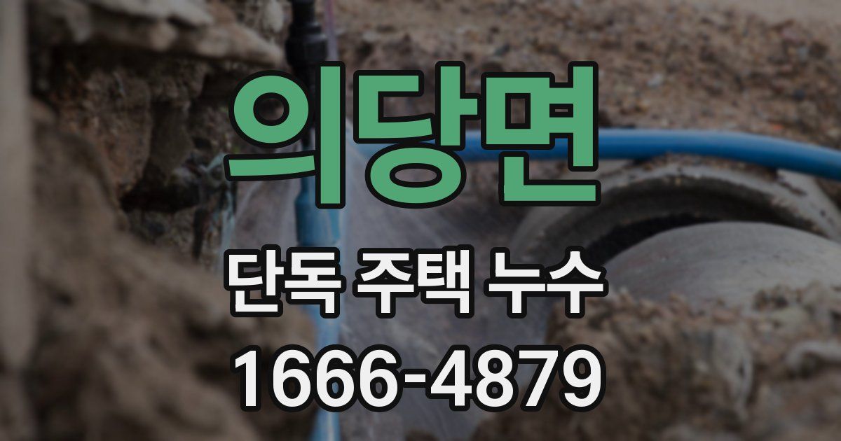 의당면 단독 주택 누수