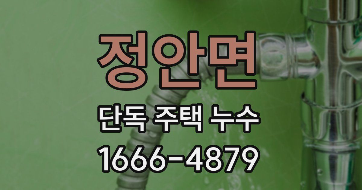 정안면 단독 주택 누수