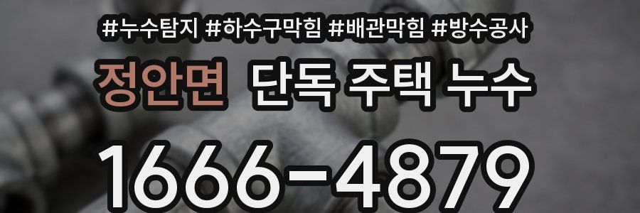 정안면 단독 주택 누수