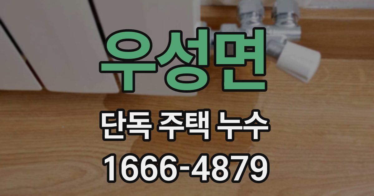 우성면 단독 주택 누수