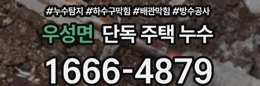 우성면 단독 주택 누수