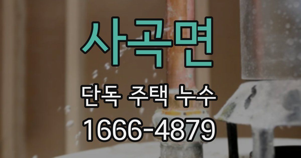 사곡면 단독 주택 누수