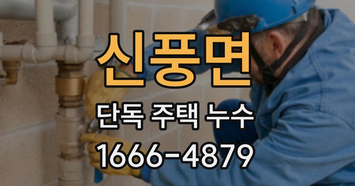 신풍면 단독 주택 누수
