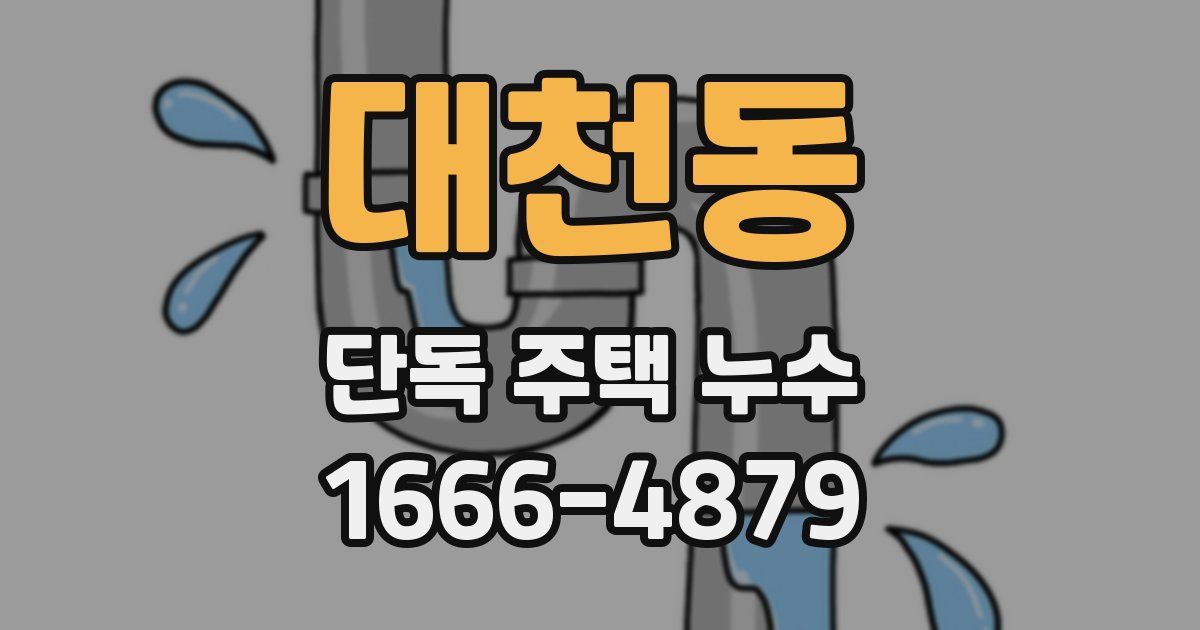 대천동 단독 주택 누수