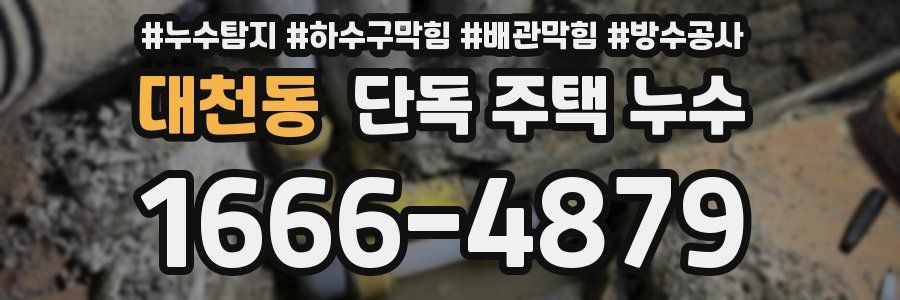 대천동 단독 주택 누수