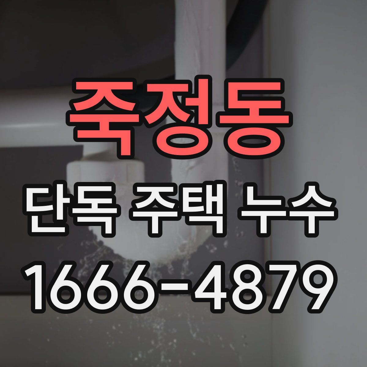 죽정동 단독 주택 누수