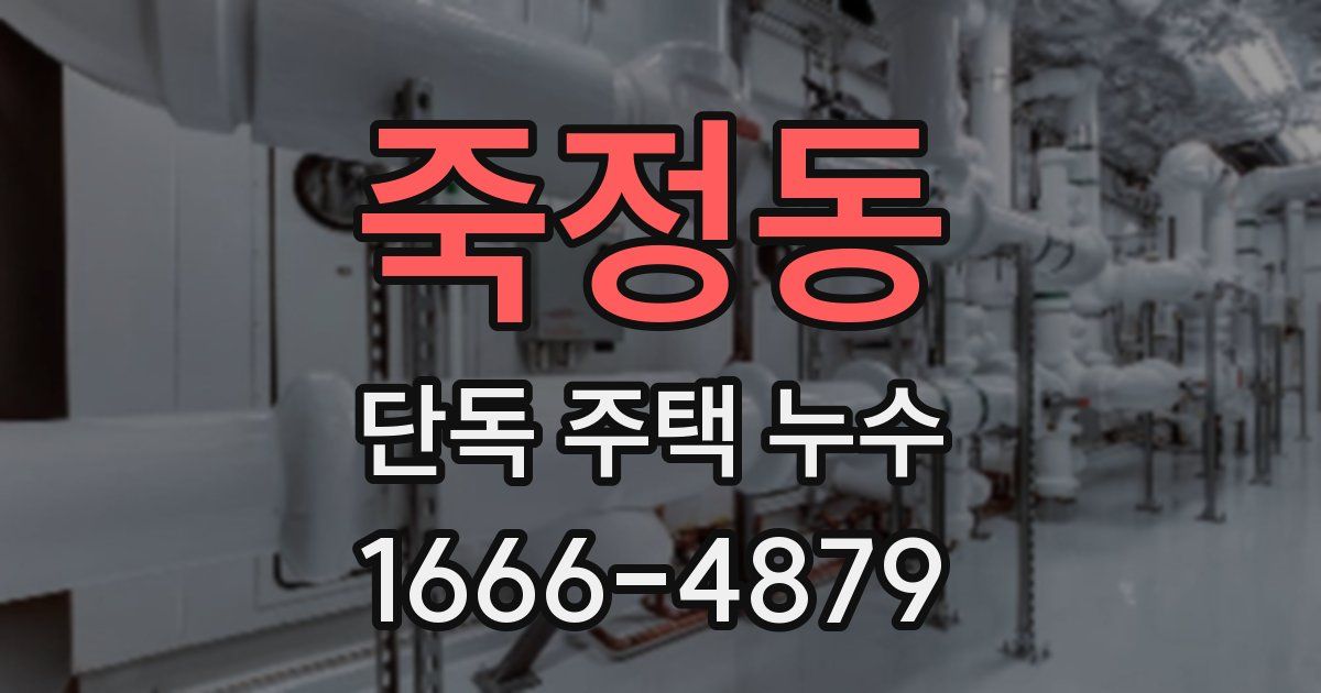 죽정동 단독 주택 누수