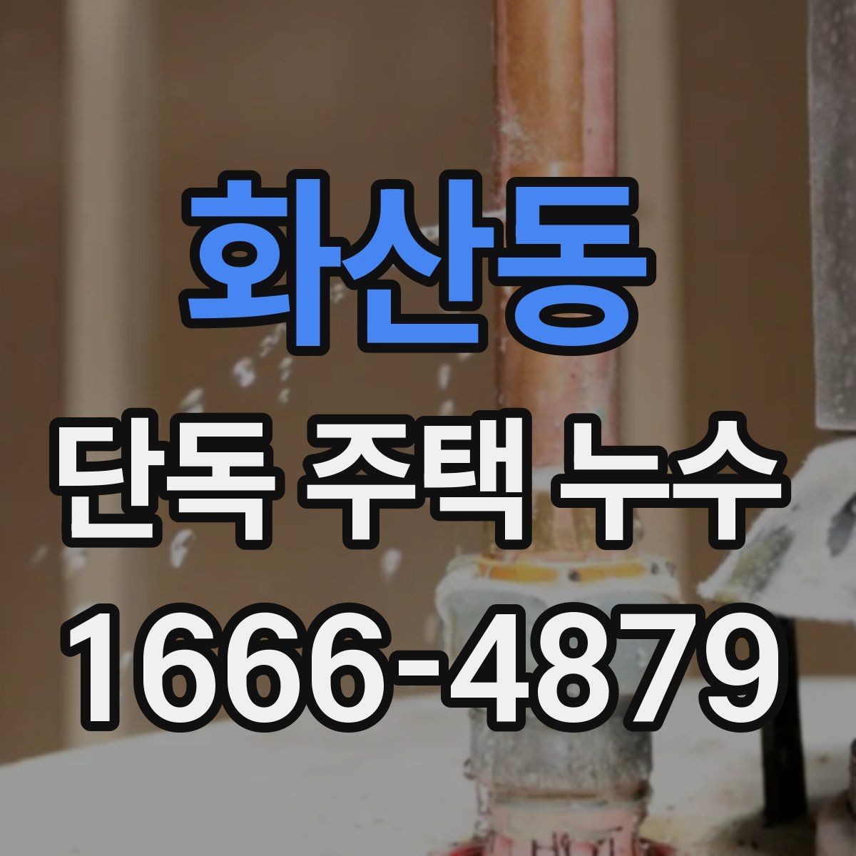 화산동 단독 주택 누수