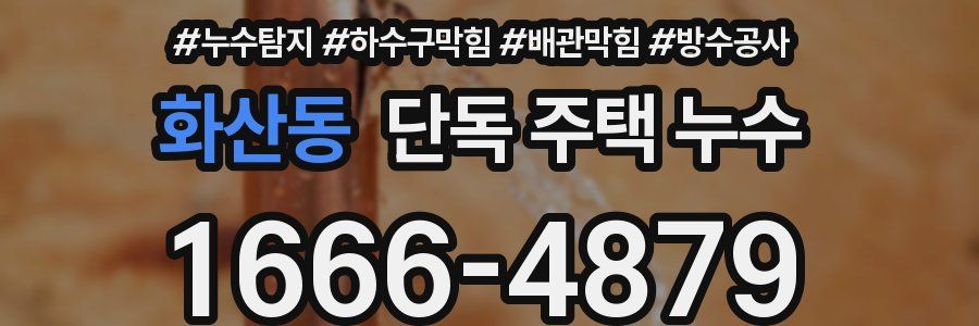 화산동 단독 주택 누수