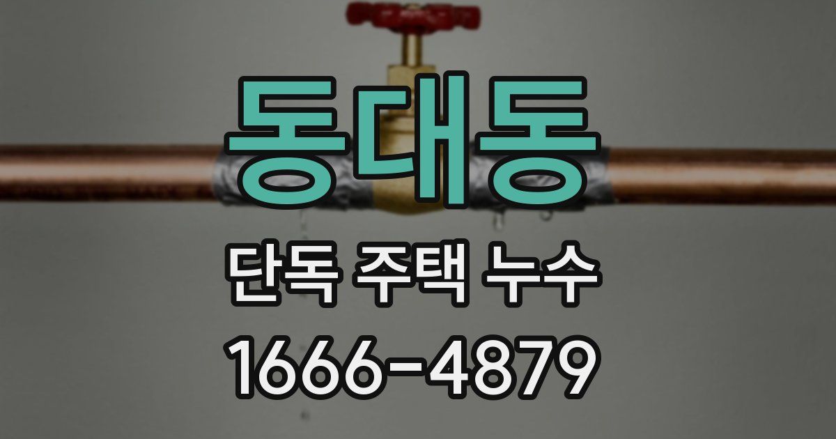 동대동 단독 주택 누수