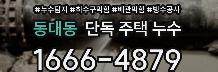 동대동 단독 주택 누수