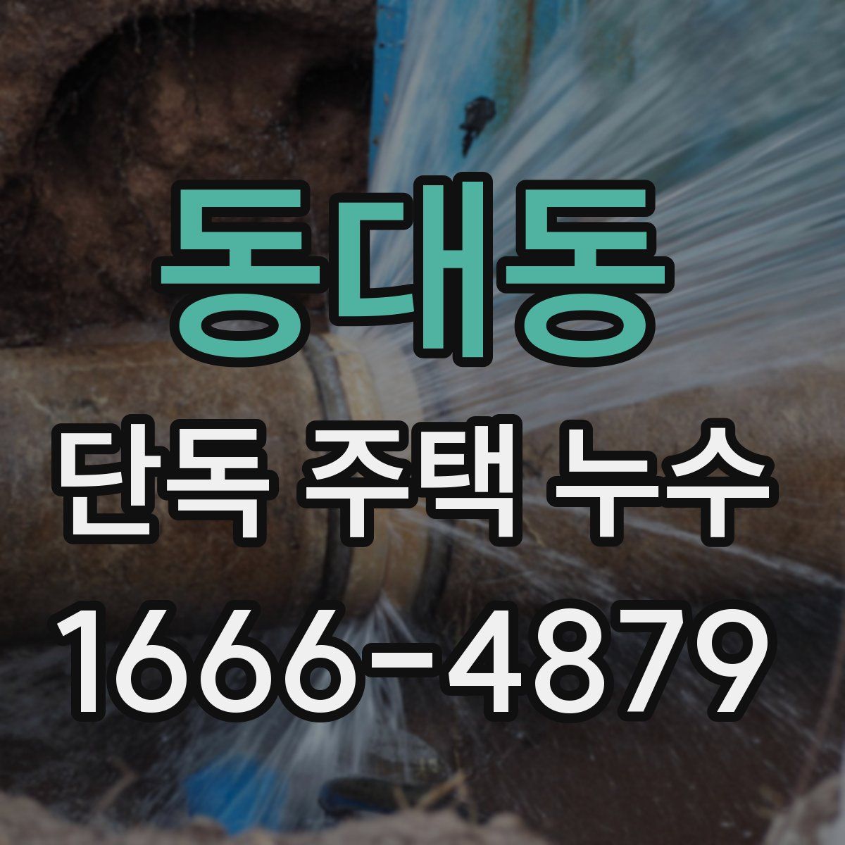 동대동 단독 주택 누수