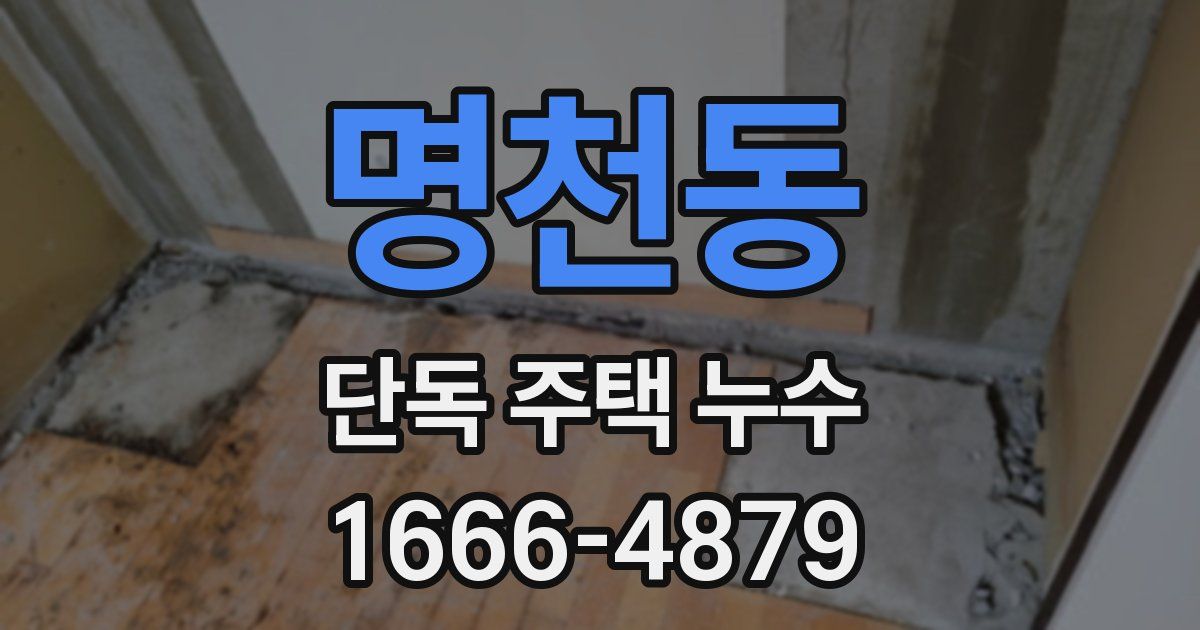 명천동 단독 주택 누수