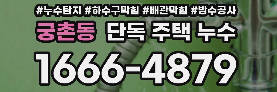 궁촌동 단독 주택 누수