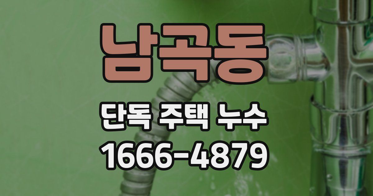 남곡동 단독 주택 누수