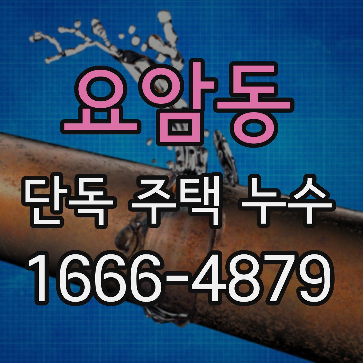 요암동 단독 주택 누수