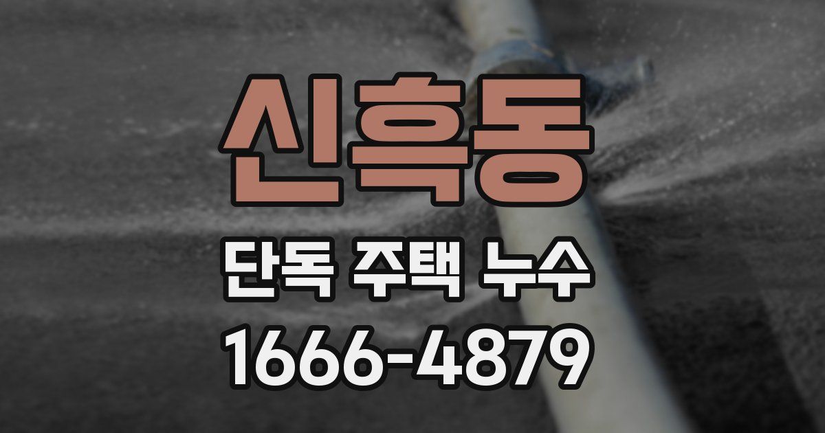 신흑동 단독 주택 누수