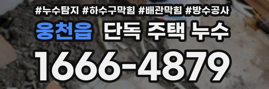 웅천읍 단독 주택 누수