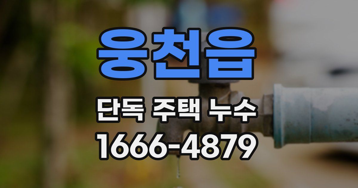 웅천읍 단독 주택 누수