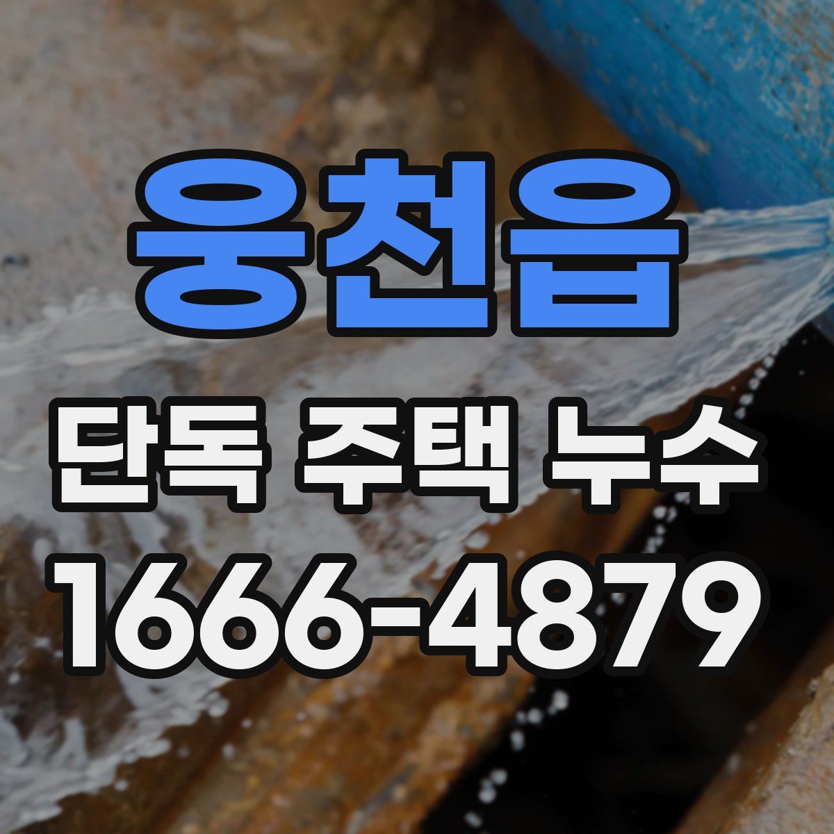 웅천읍 단독 주택 누수