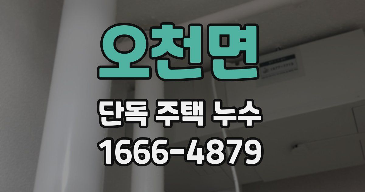 오천면 단독 주택 누수