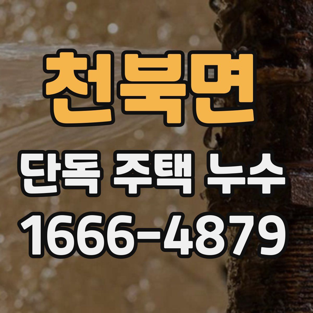 천북면 단독 주택 누수
