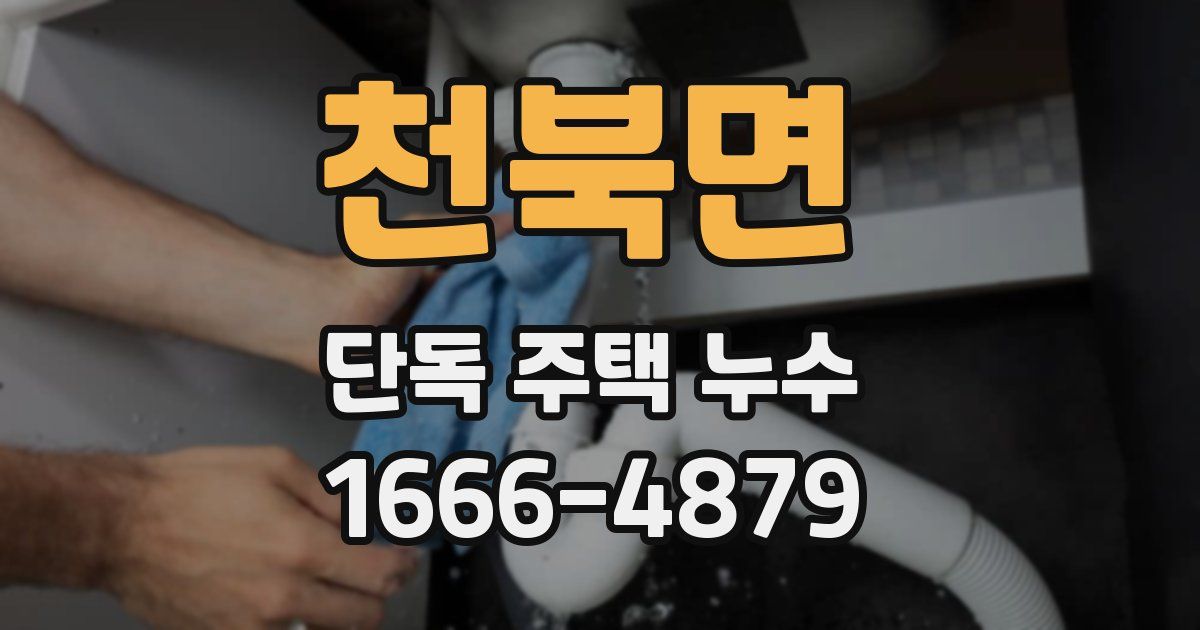 천북면 단독 주택 누수