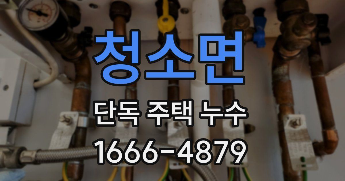 청소면 단독 주택 누수