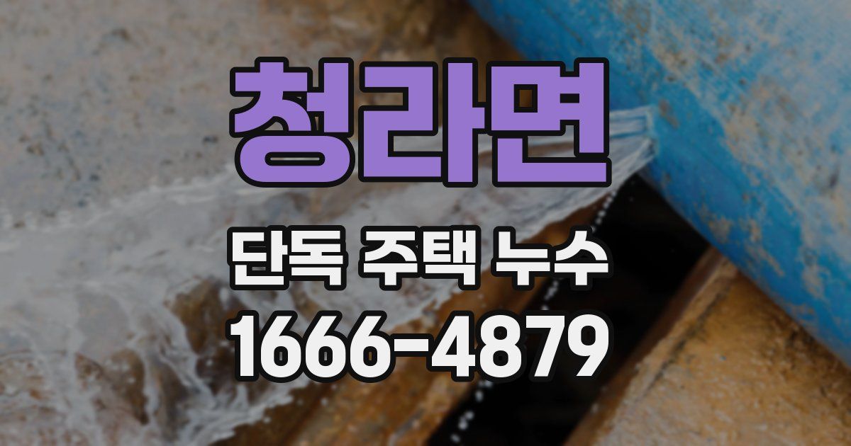 청라면 단독 주택 누수