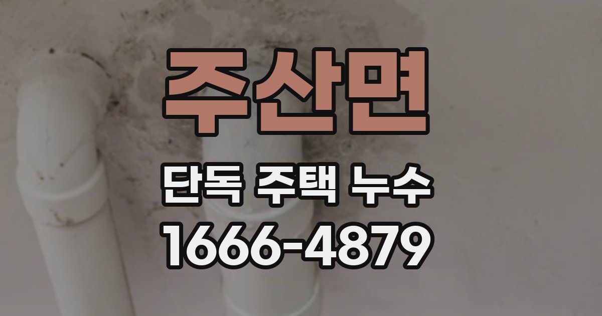 주산면 단독 주택 누수