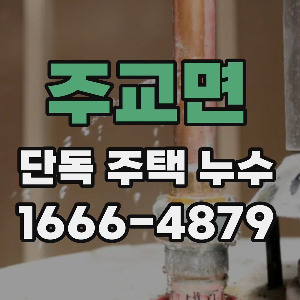 주교면 단독 주택 누수
