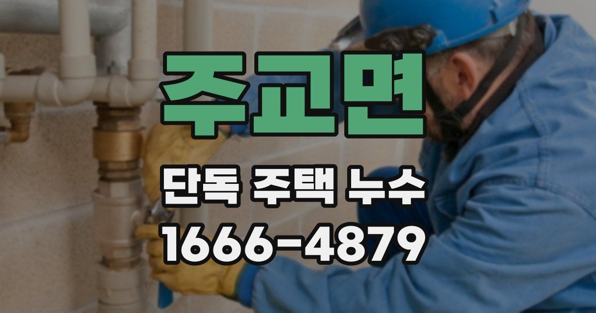 주교면 단독 주택 누수